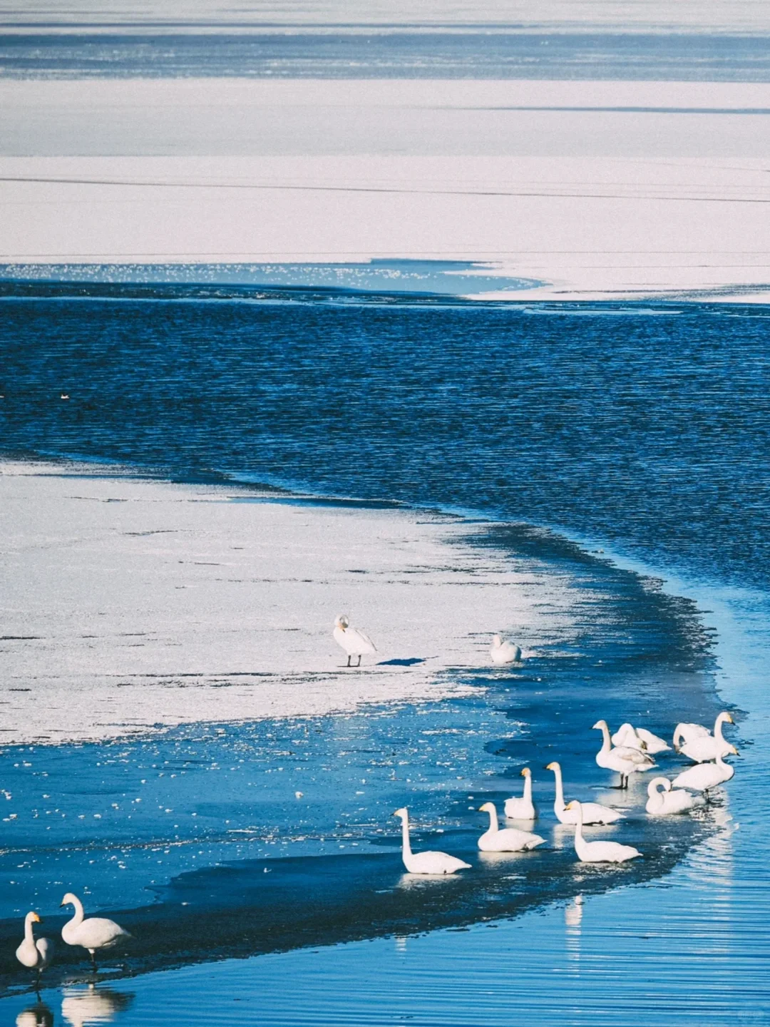 一个人勇闯阿勒泰8天7晚花了不到5000r💰
