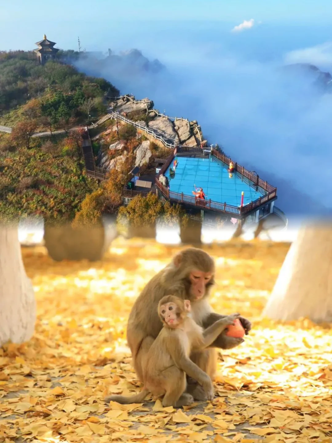 连云港人的嘴也太严了，这么多免费景点……