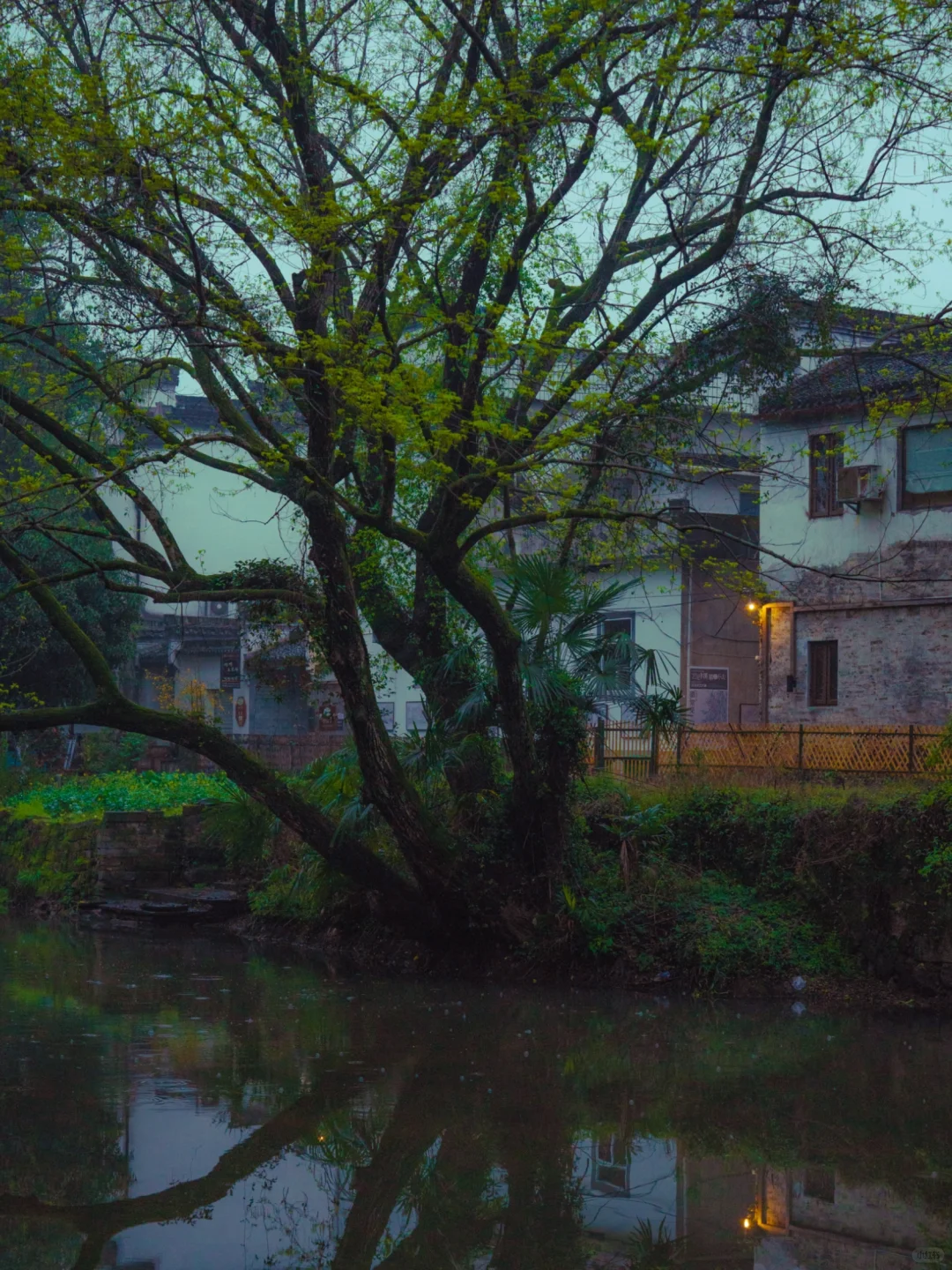 分享9个江浙沪周边值得过年去的好地方（上）