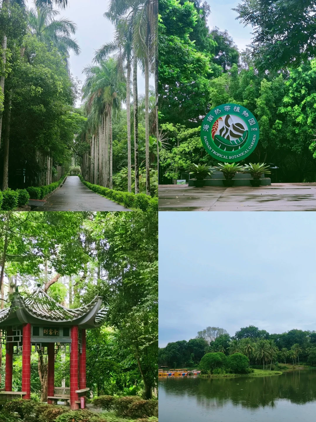 儋州❗️❗️一个被严重低估的宝藏城市