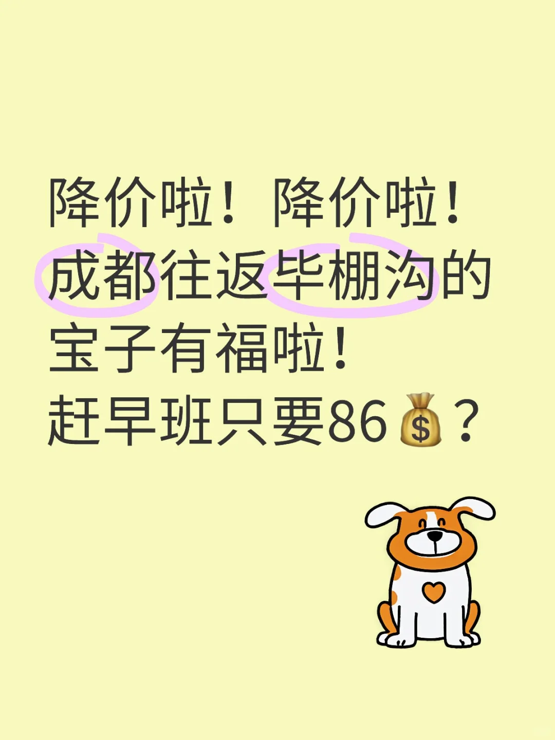 🔥2025最新毕棚沟景区直通车攻略 降价版