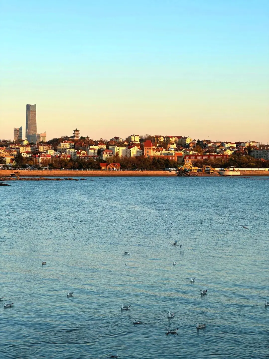 青岛🏖️||三日保姆级旅游攻略❗️