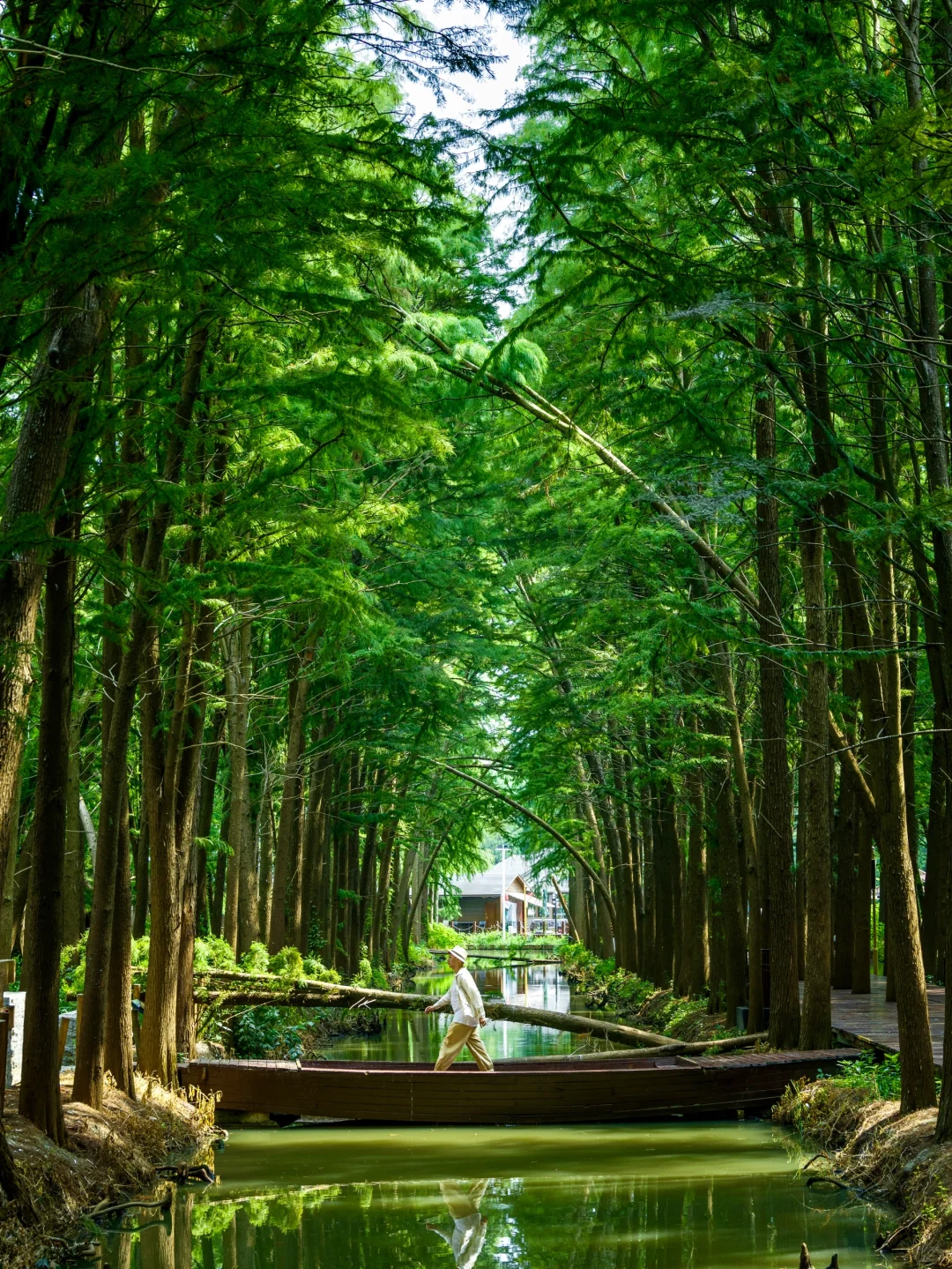 推荐1️⃣8️⃣个适合国庆去玩的冷门小众景点吧