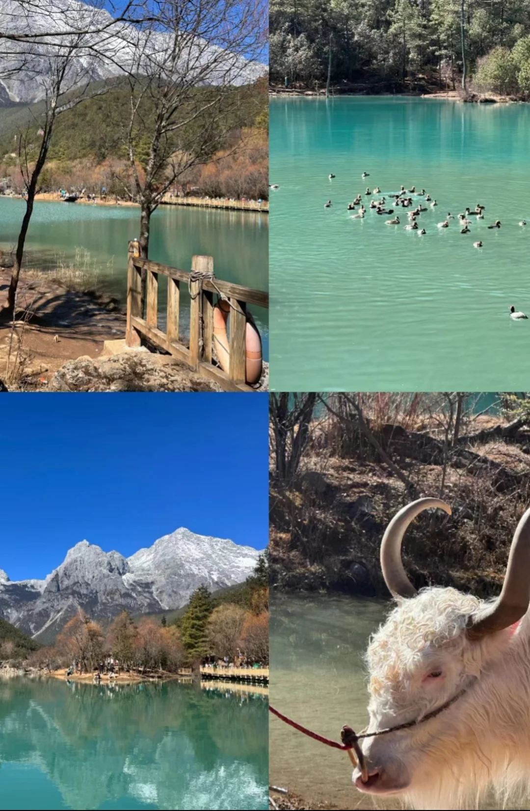 丽江省心旅游攻略🏔️ | 三天两晚超详细