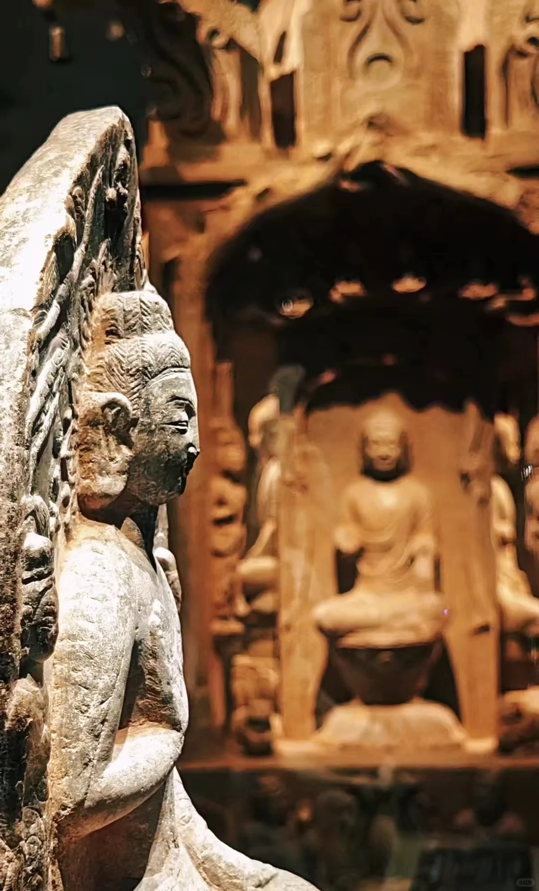 二毛带我看世界|河北邯郸