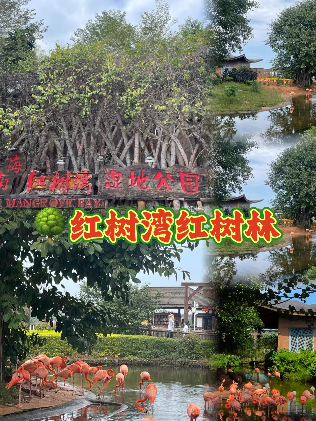 🎉海南宝藏小城澄迈 | 保姆级旅游攻略码