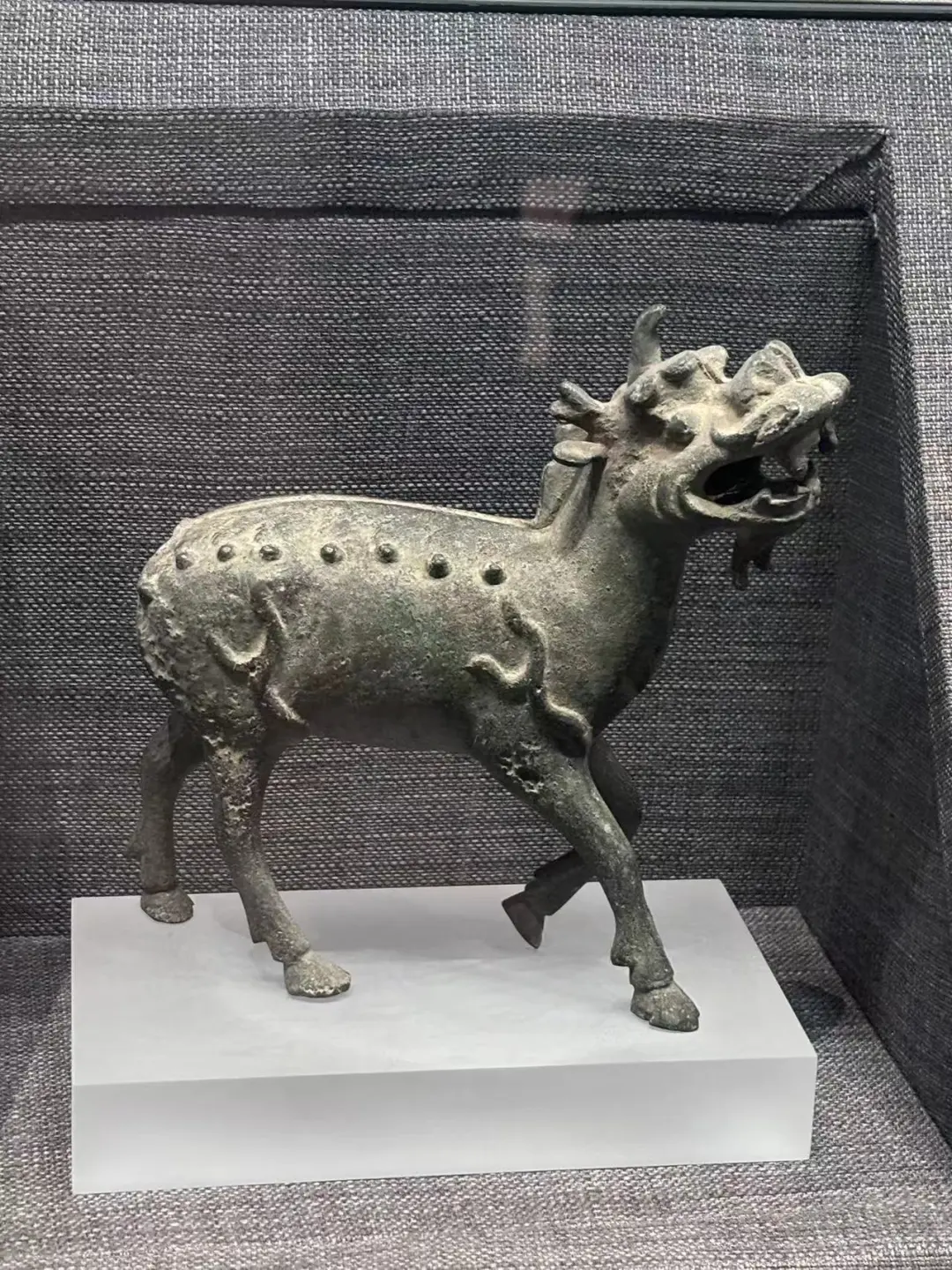 二毛带我看世界|河北邯郸