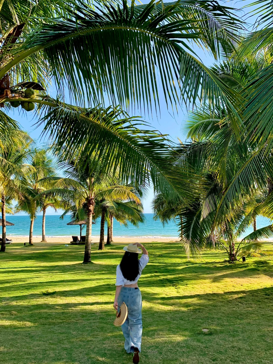 本人的陵水旅游攻略已到next level………………