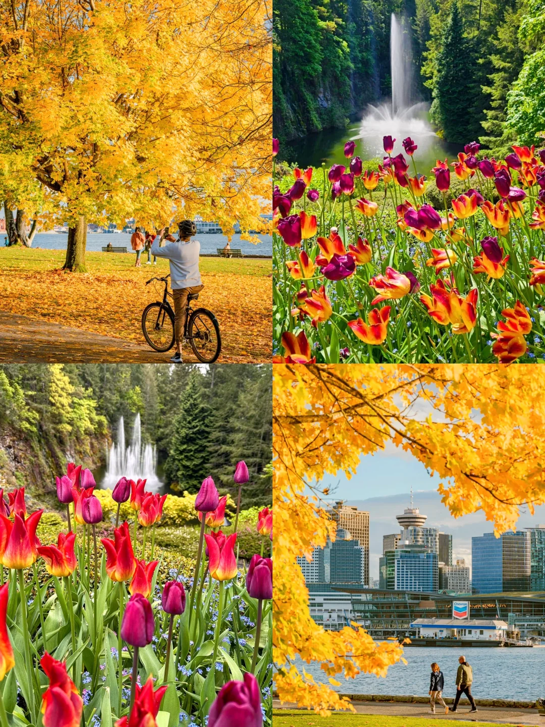 一图秒懂｜温哥华景点地图❗旅行打卡清单🧾