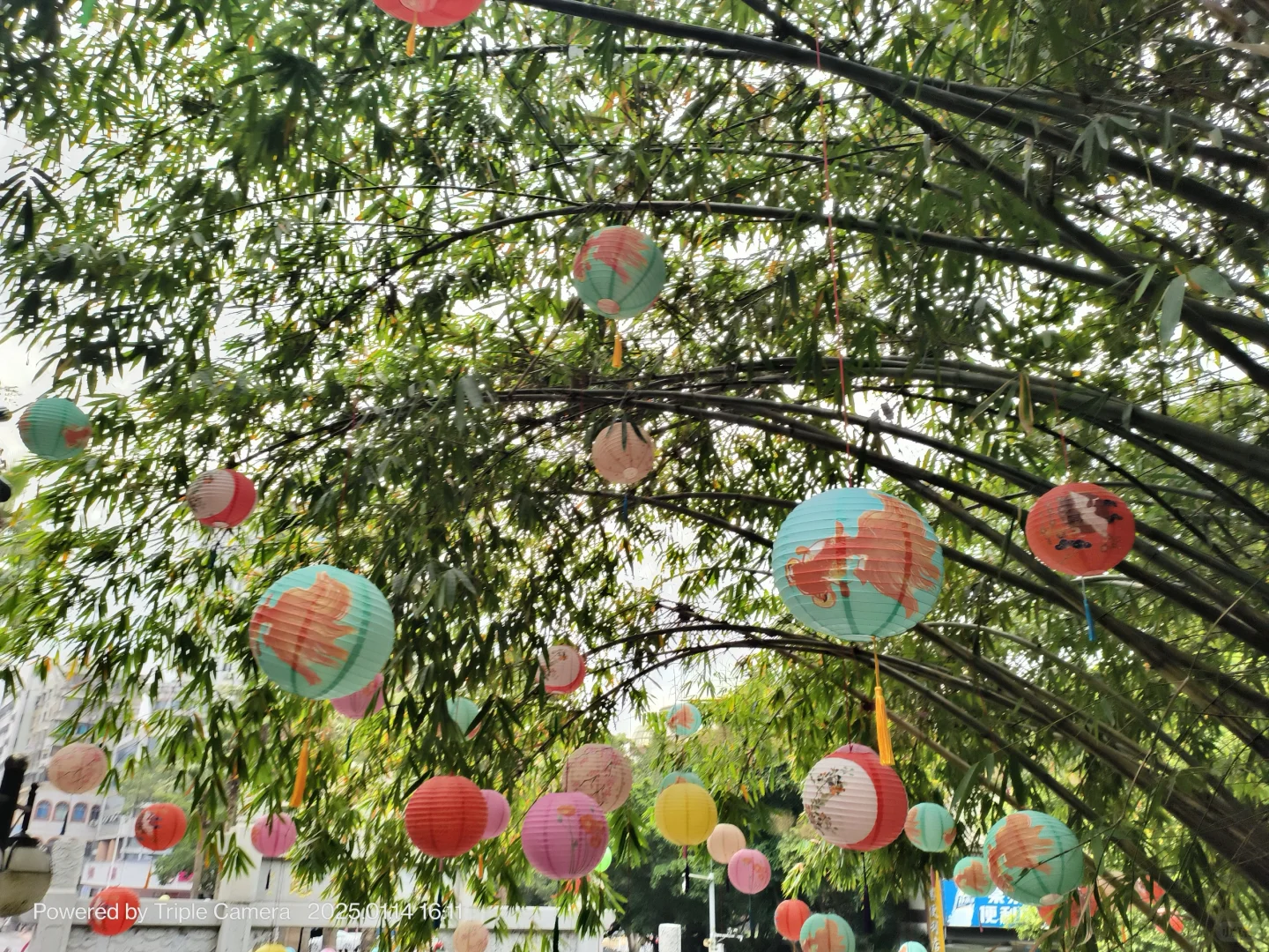 柳州马鞍山旅游攻略 🏞️✨