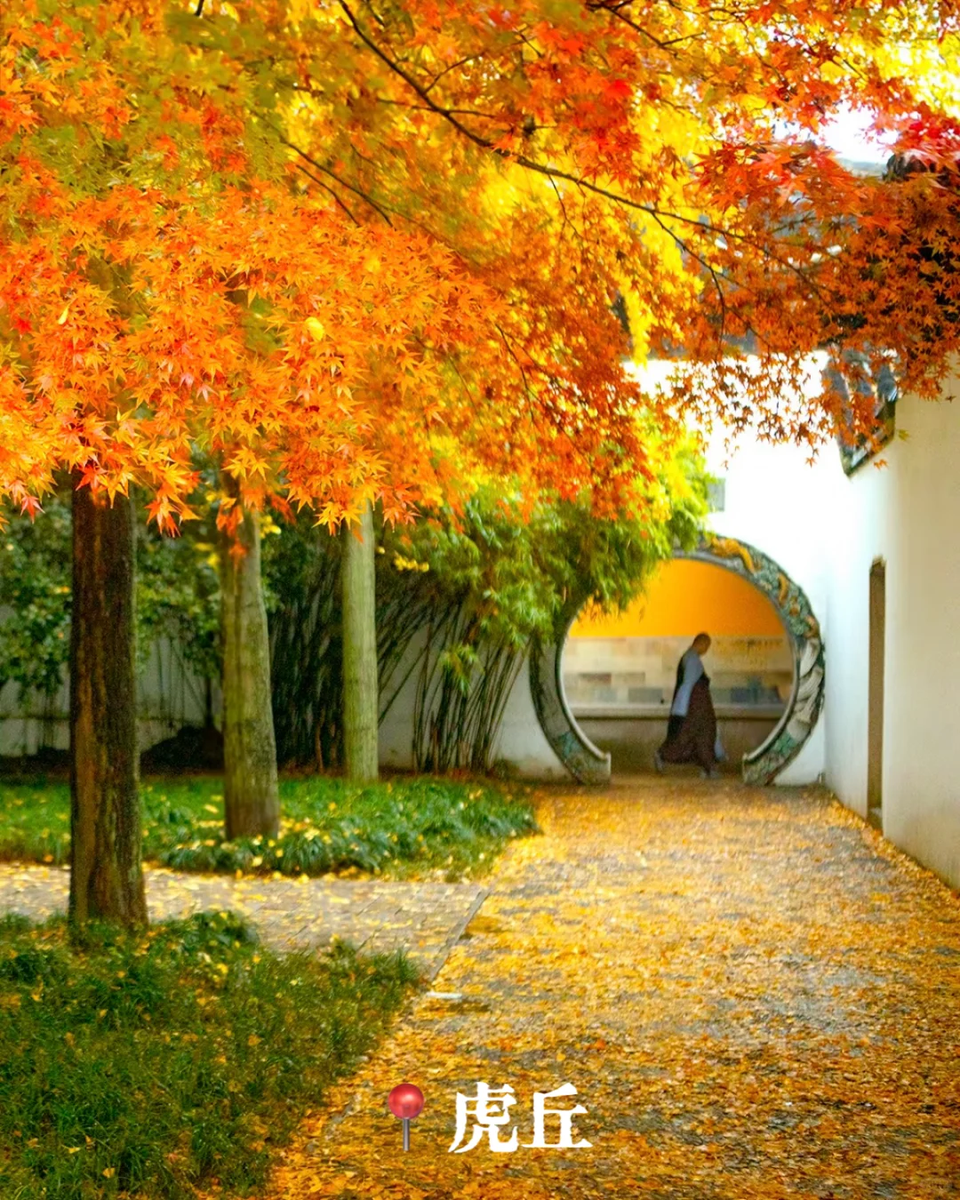 🍁江苏的私藏路线,都在这里❗️