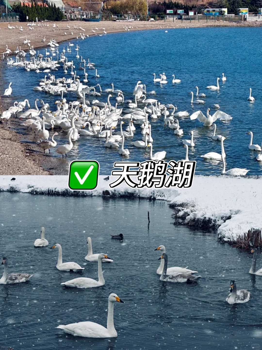 威海必打卡 9 大景点,错过一个都算白来❗