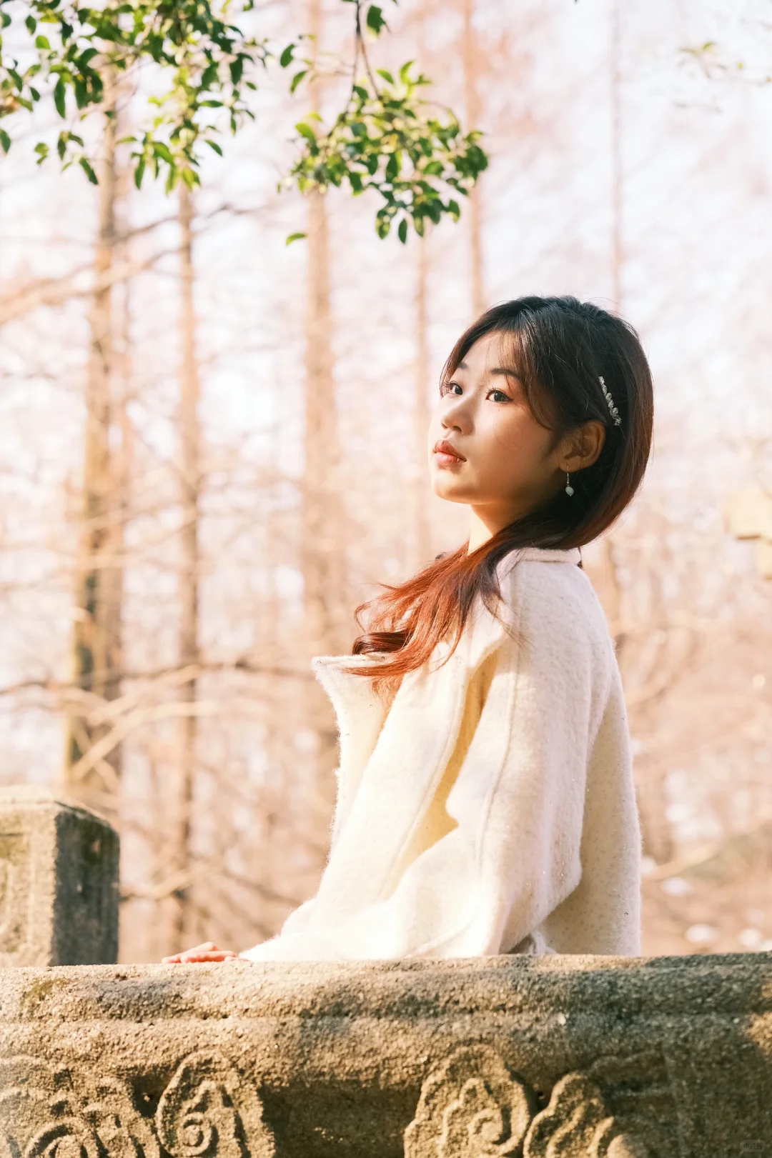 南京陪拍｜两个小时拿下燕雀湖梧桐大道音乐