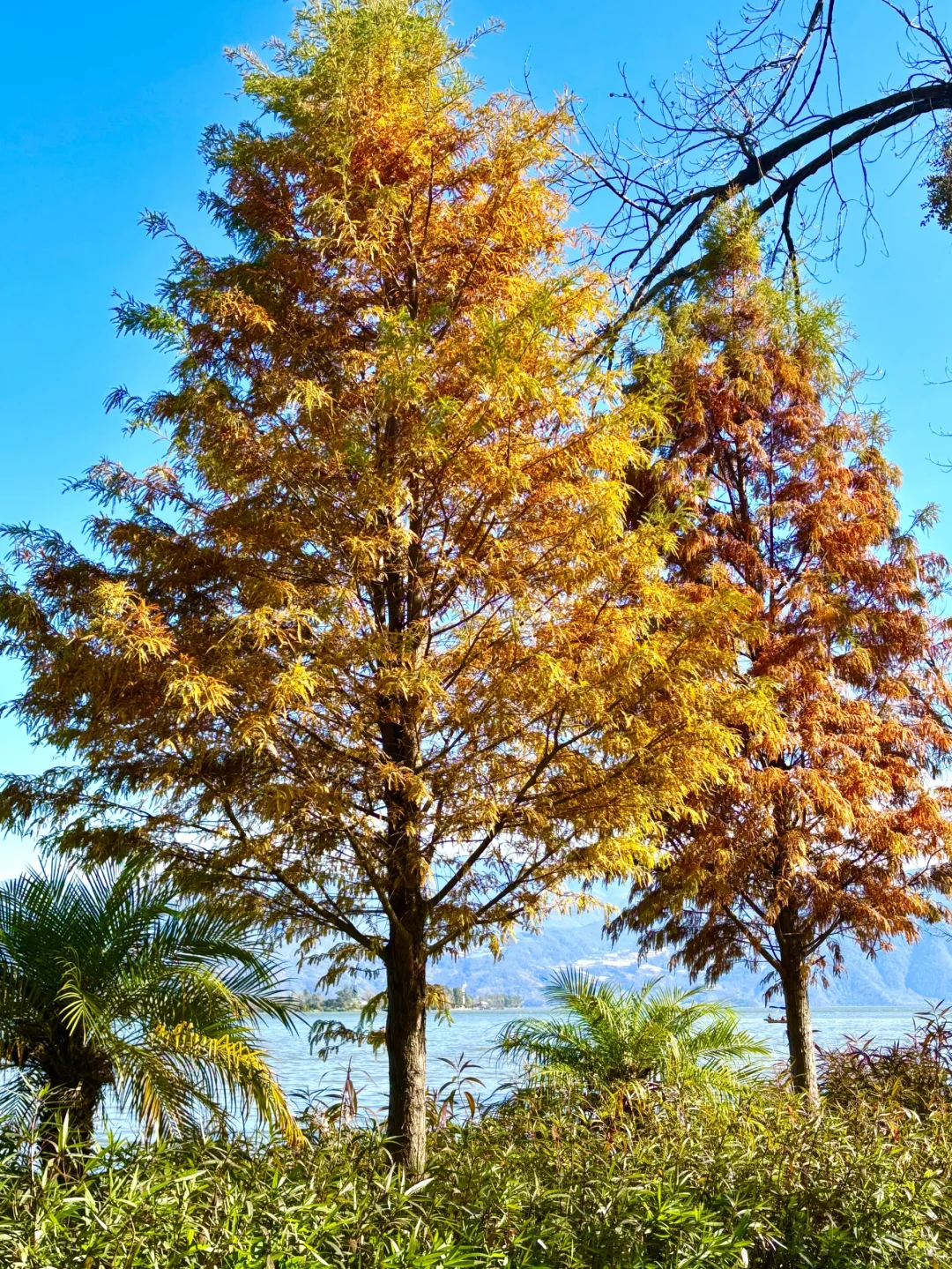 元旦去西昌，三天超详细行程+避坑攻略