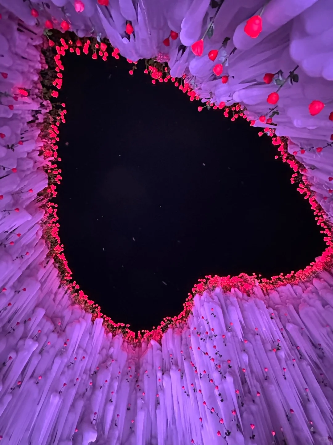 1.14📍长白山已回，美疯了🤩真心劝退不了……