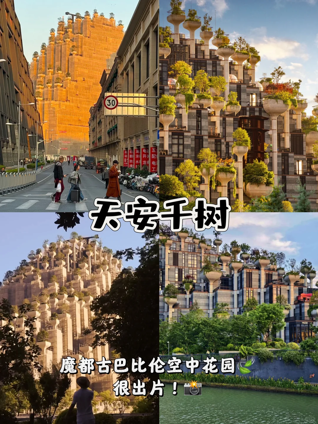 上海11个免费逛的美景❗快收藏