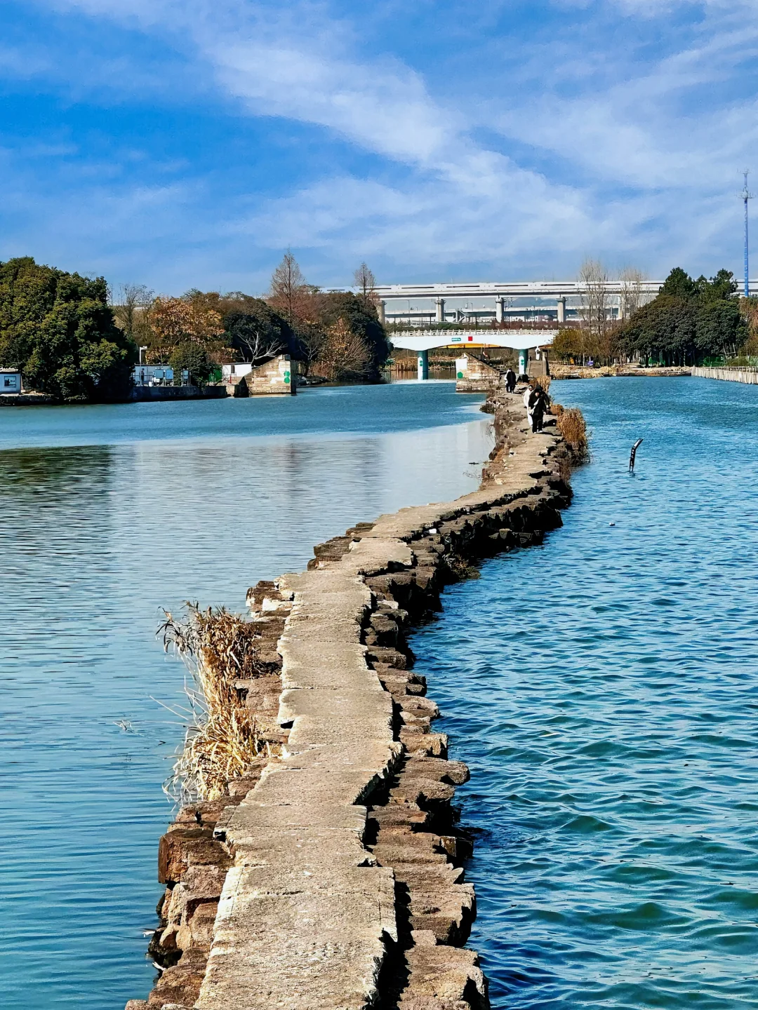 绍兴不只有鲁迅故里‼️这三个景点千万别错过