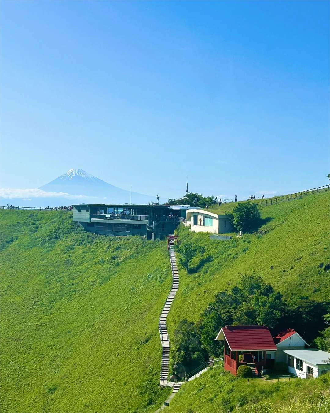 太全了！去了日本七八次，我的建议是……