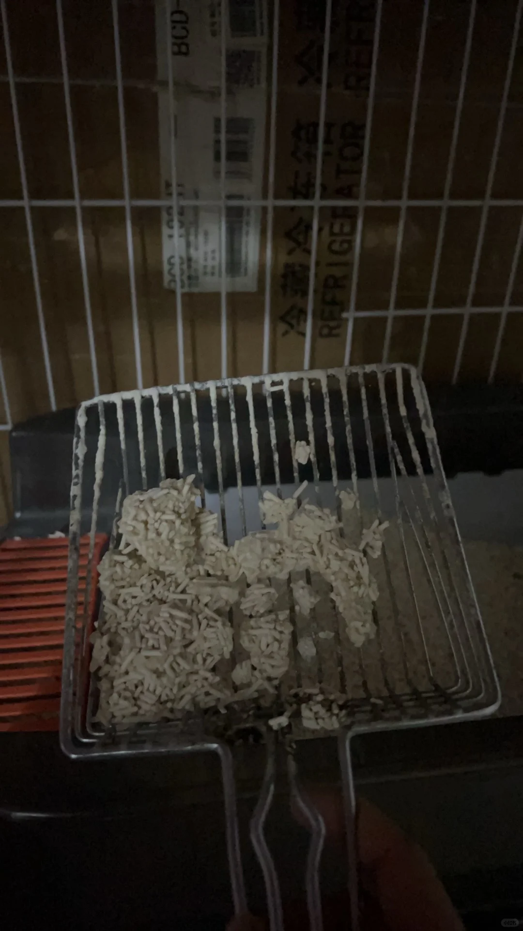 这是猫咪尿闭导尿后尿频求助帖｜非旅游攻略