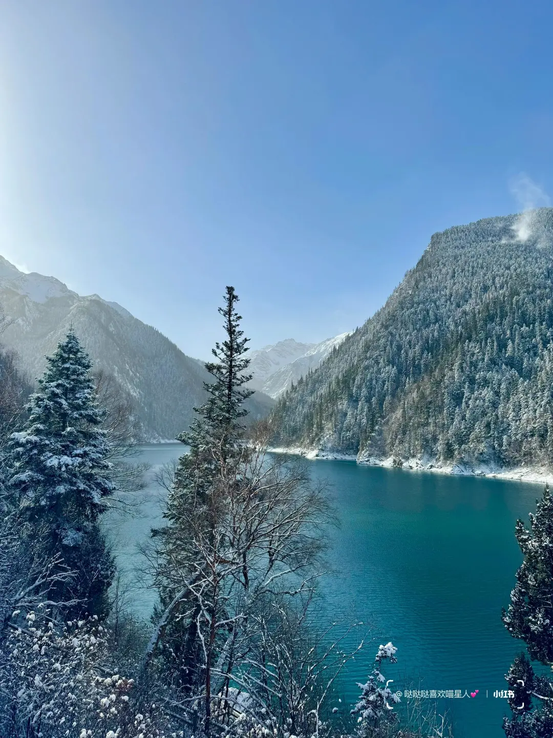 12.28📍九寨沟豪赌成功！简直不要太美了