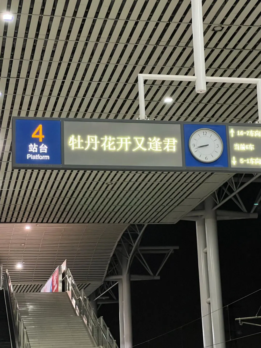 来洛阳旅游的姐妹们，‼️千万不要错过这篇