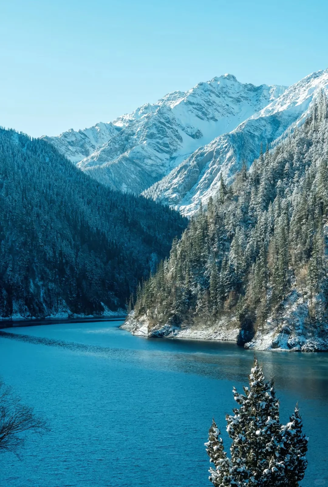 四川九寨沟旅游攻略