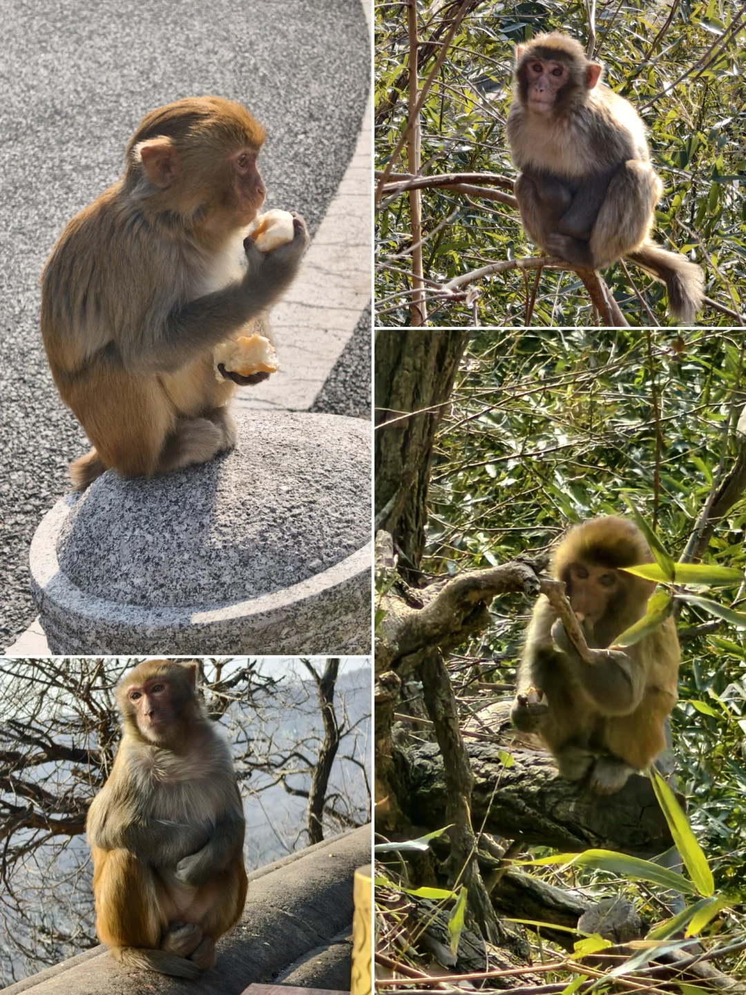 连云港旅游攻略两天三夜