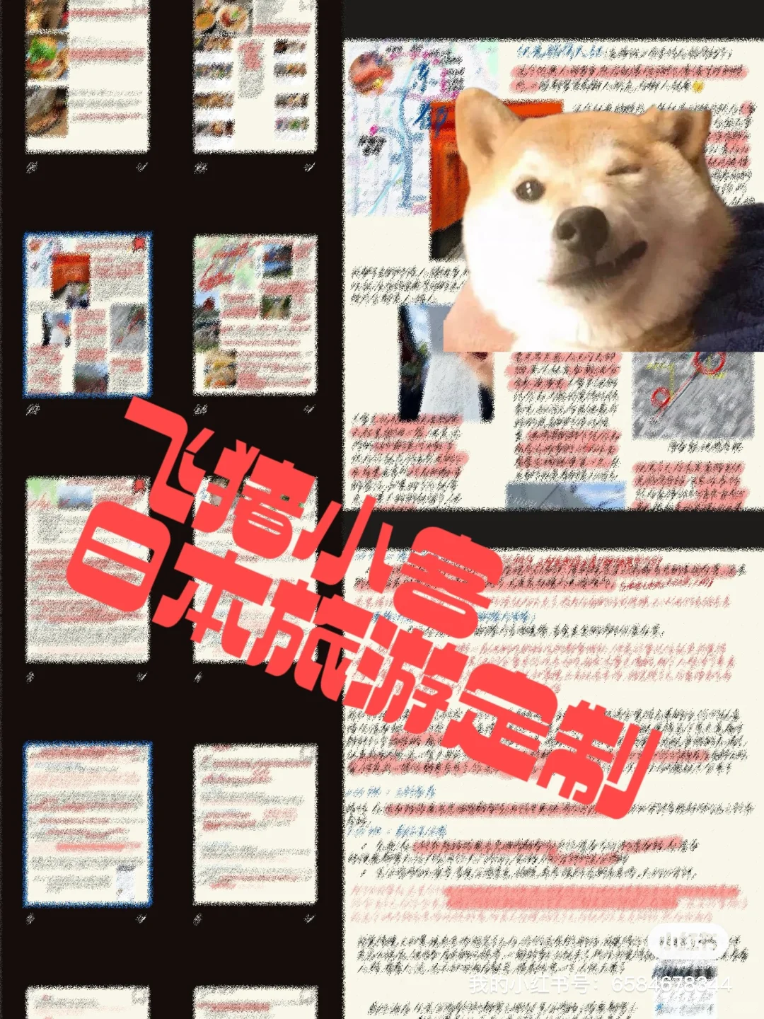 日本旅游攻略定制留子版，闲鱼销量前几