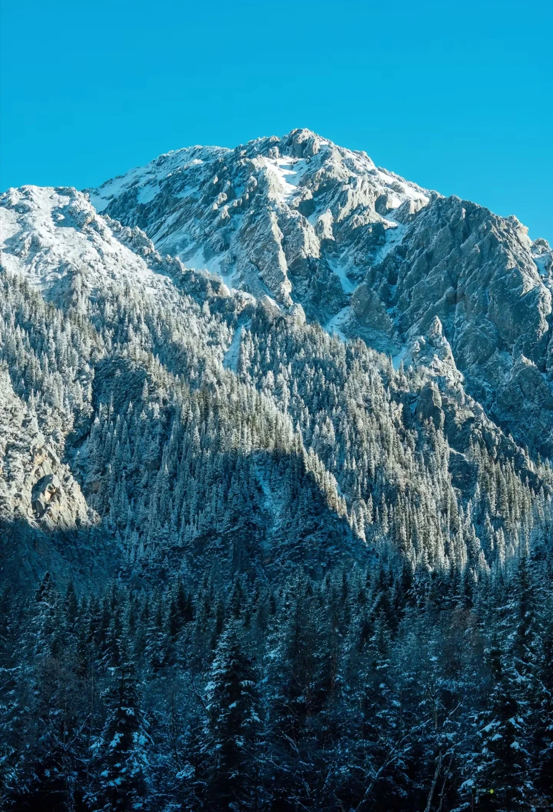 四川九寨沟旅游攻略