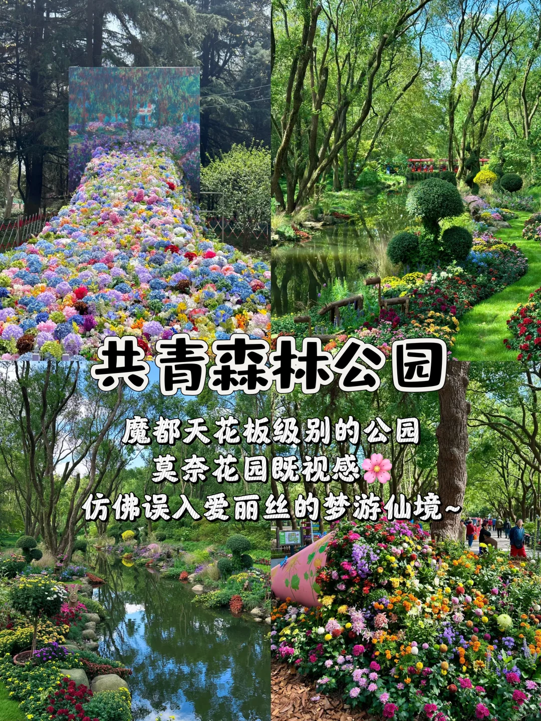 上海11个免费逛的美景❗快收藏