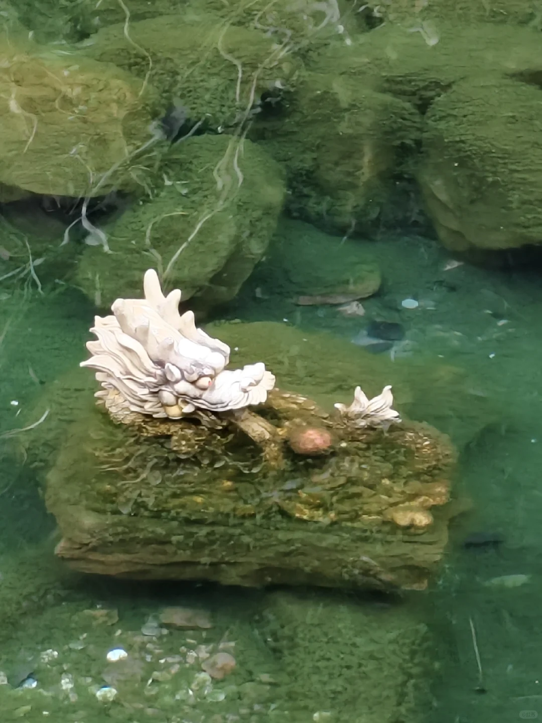 天脊龙门我来啦!