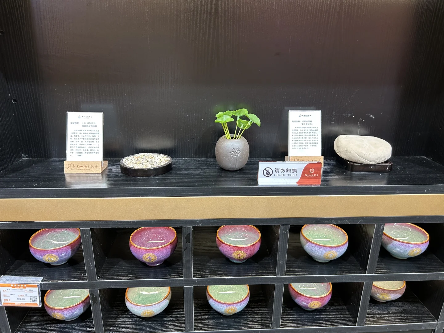 梵天净土，品一杯主人茶🍵