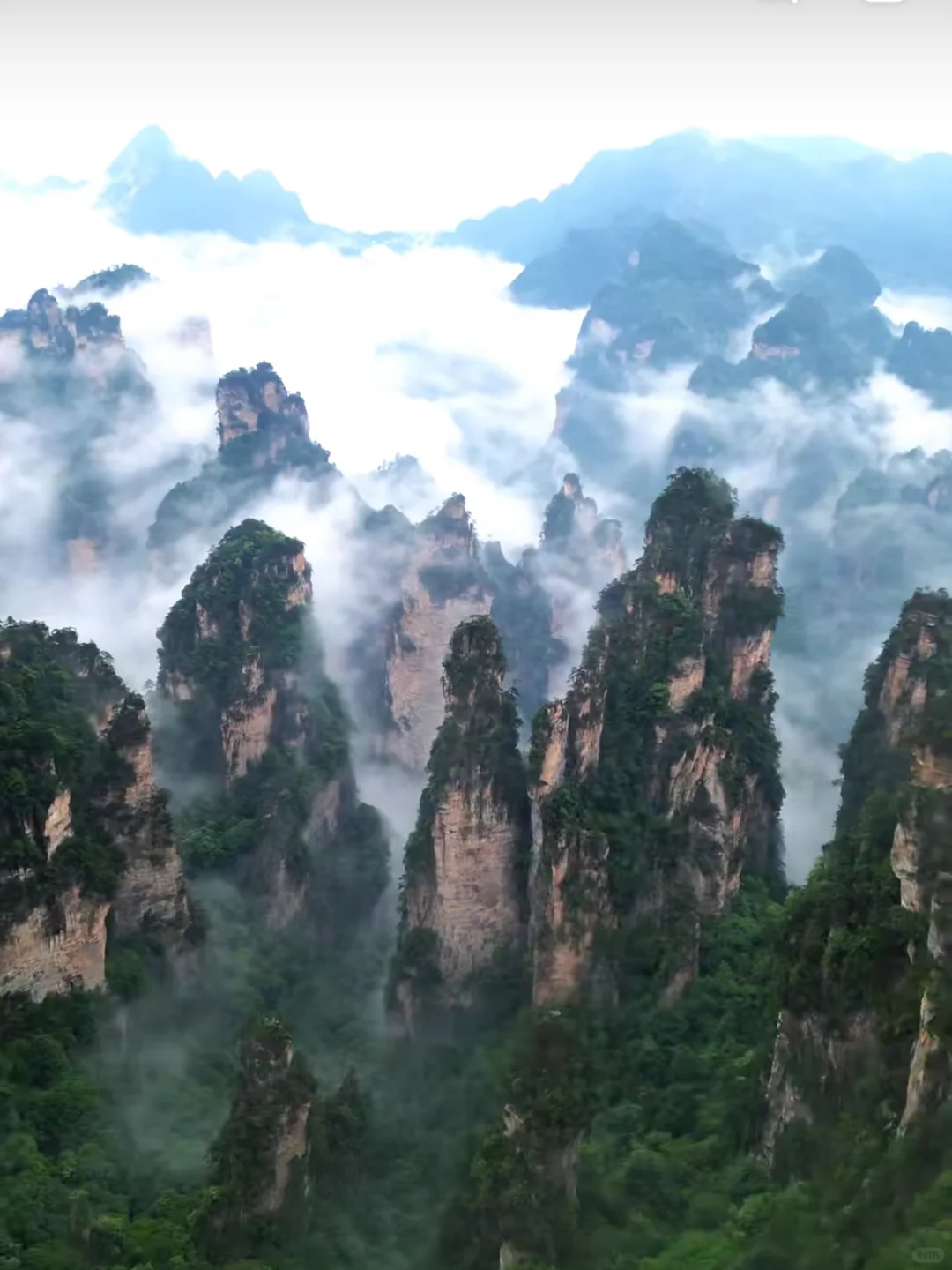 后悔还好可以补救，太值得了，长沙张家界