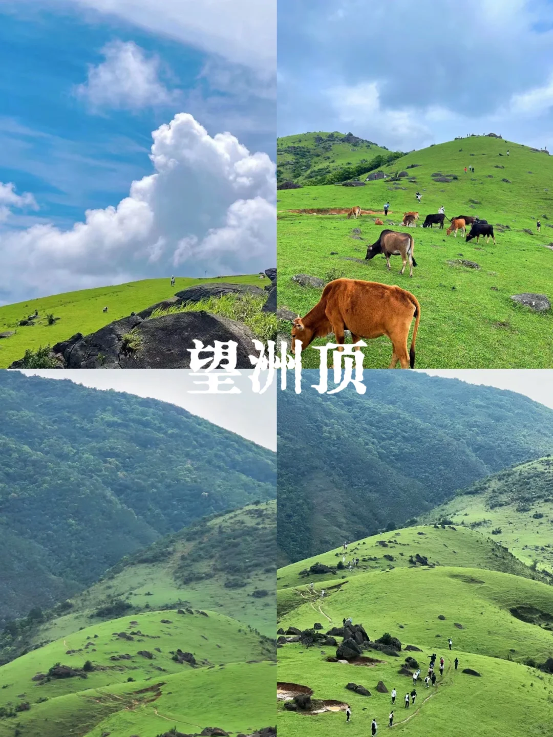 5-7月去广西旅游的姐妹听劝来看❗️❗️