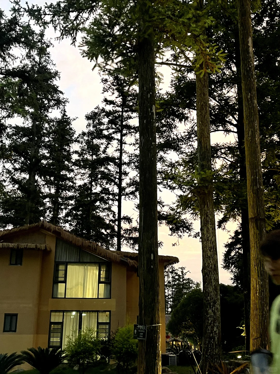 贺州旅游攻略✔️一个被遗忘的人间仙境😍