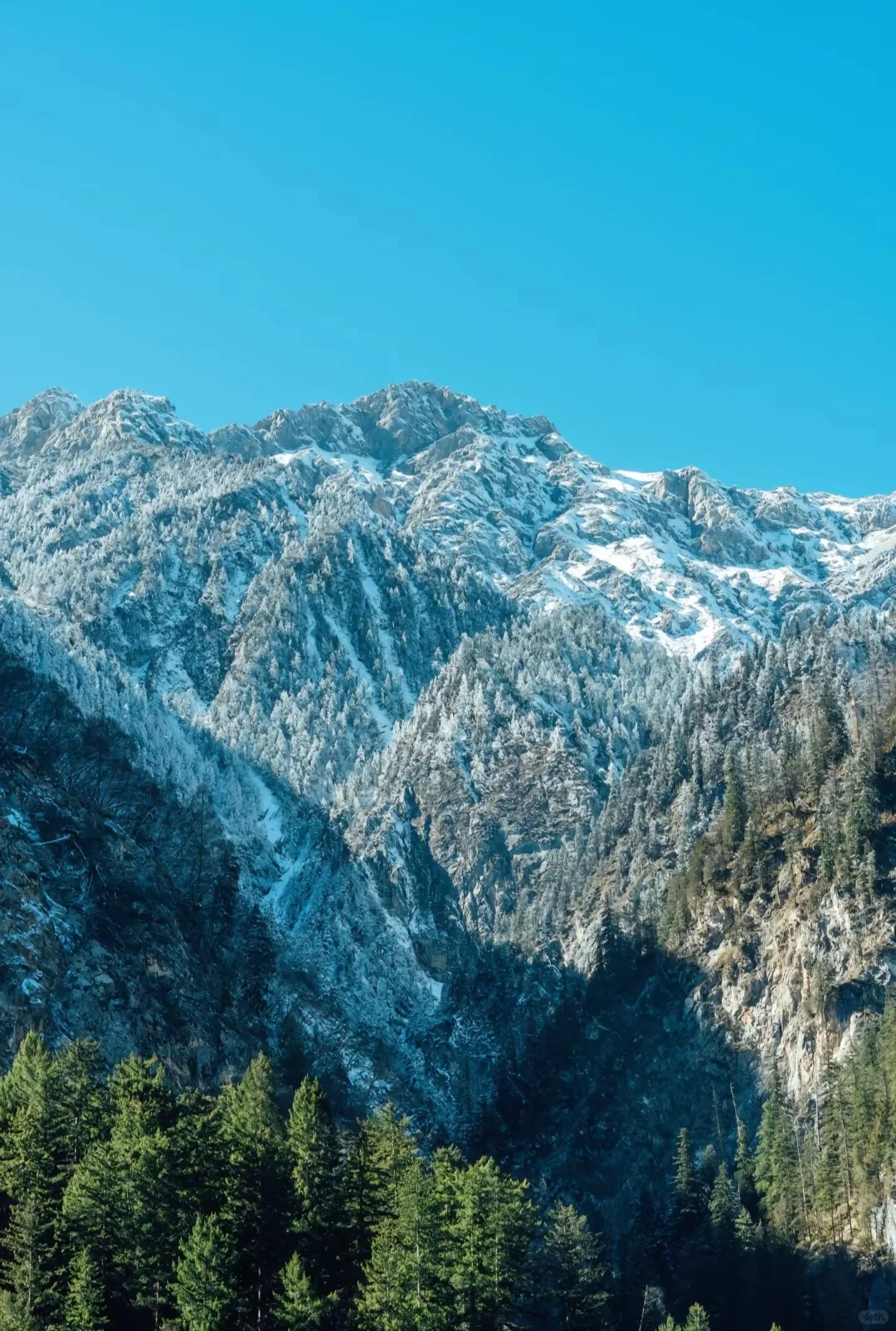 四川九寨沟旅游攻略
