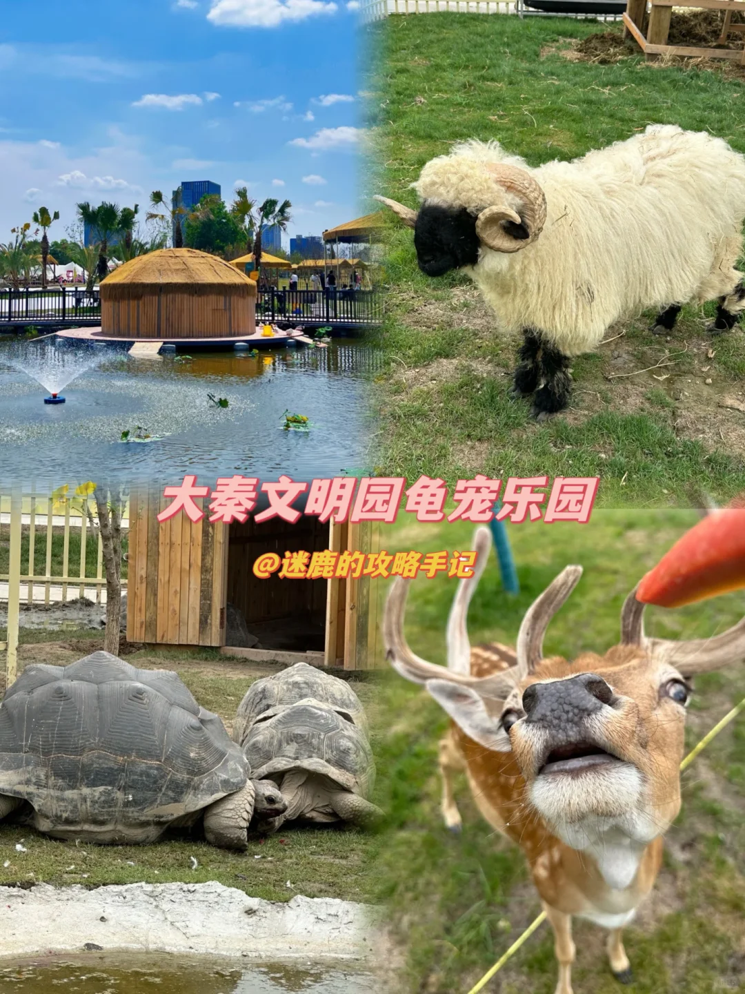 打卡必备 | 西安10个户外遛娃的免费景区