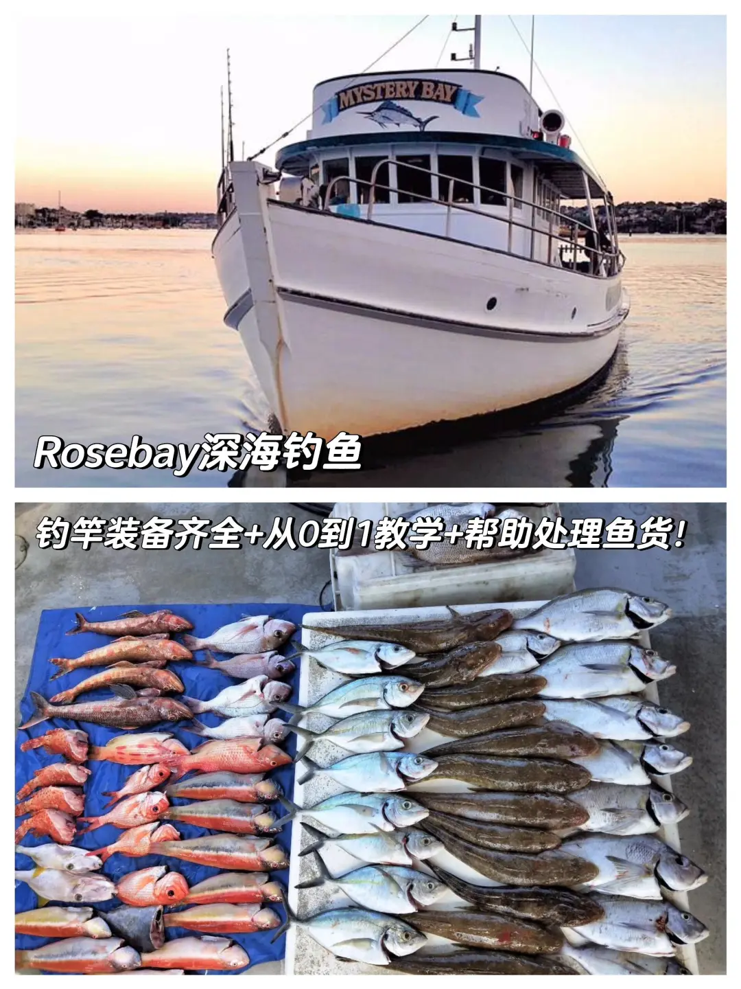 🇦🇺人生建议：离开悉尼前必去的20个地方❗️