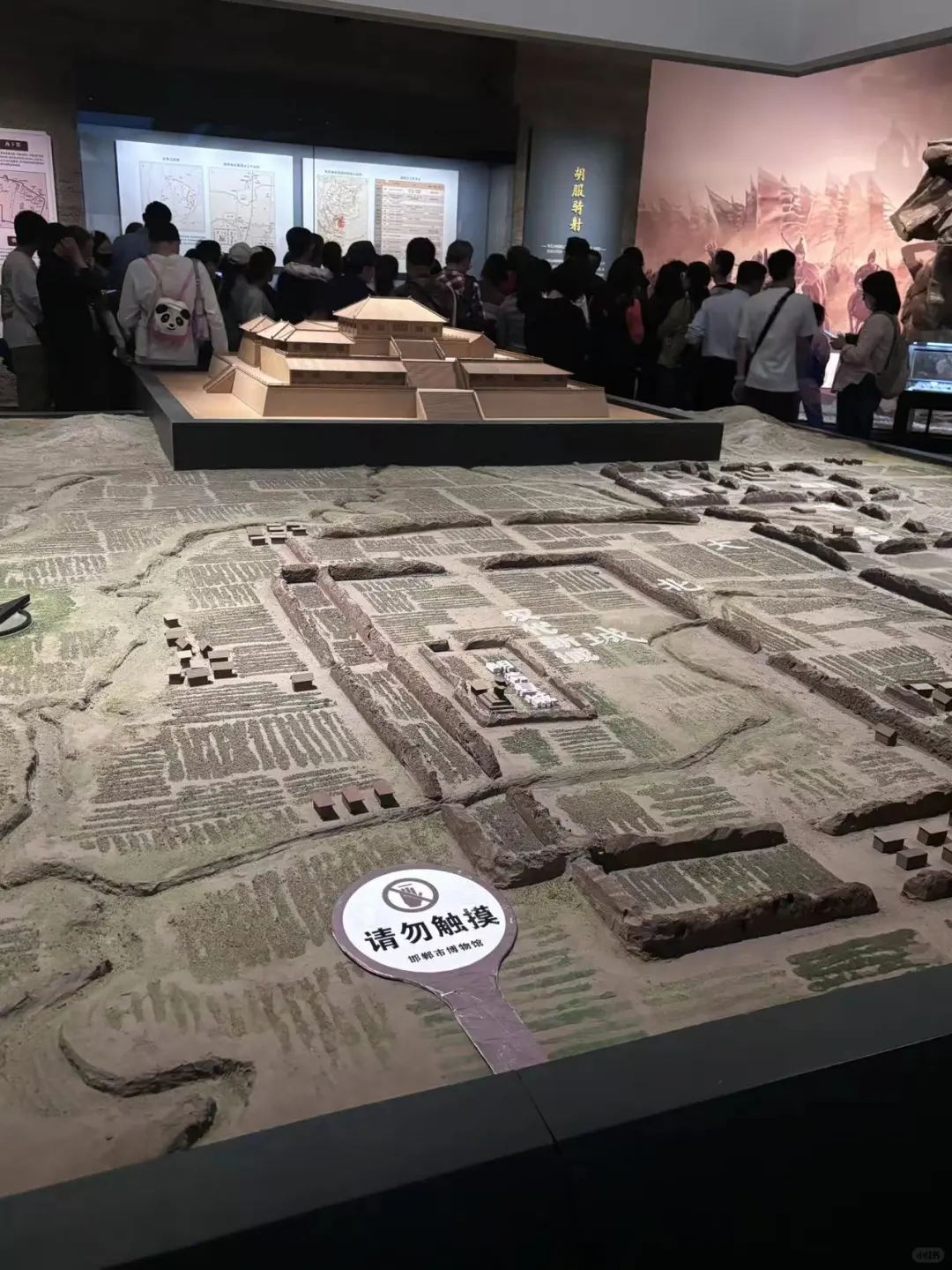 二毛带我看世界|河北邯郸