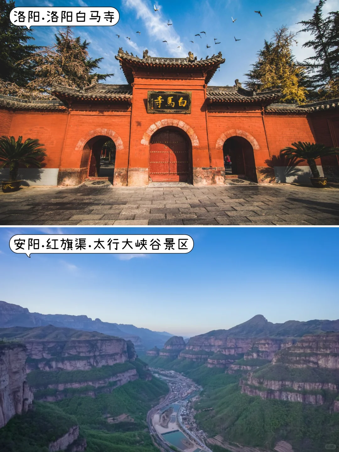 🔥河南十三大必去景点｜中原景观荟萃一堂