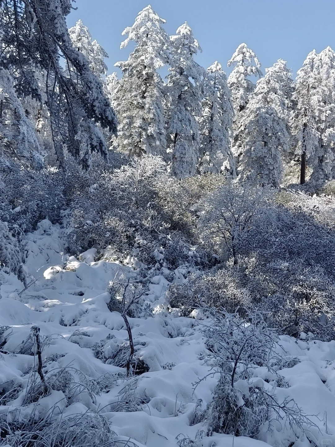 1.14郴州纯受罪已回，四个人都崩溃了😭