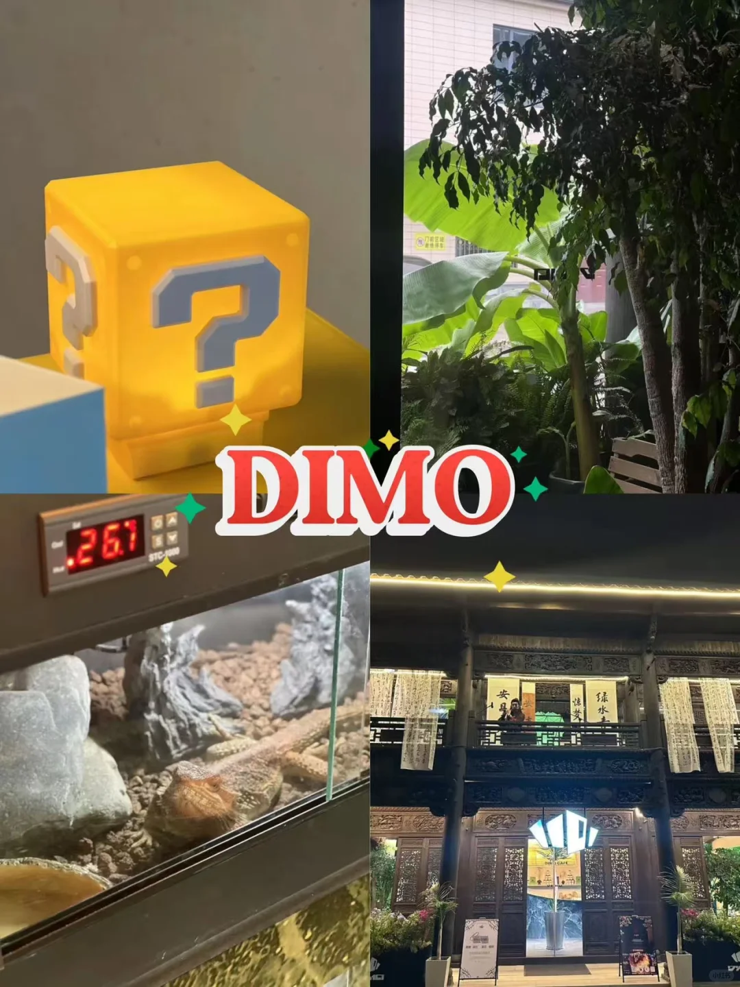 安吉/ 两天一夜旅游攻略！！