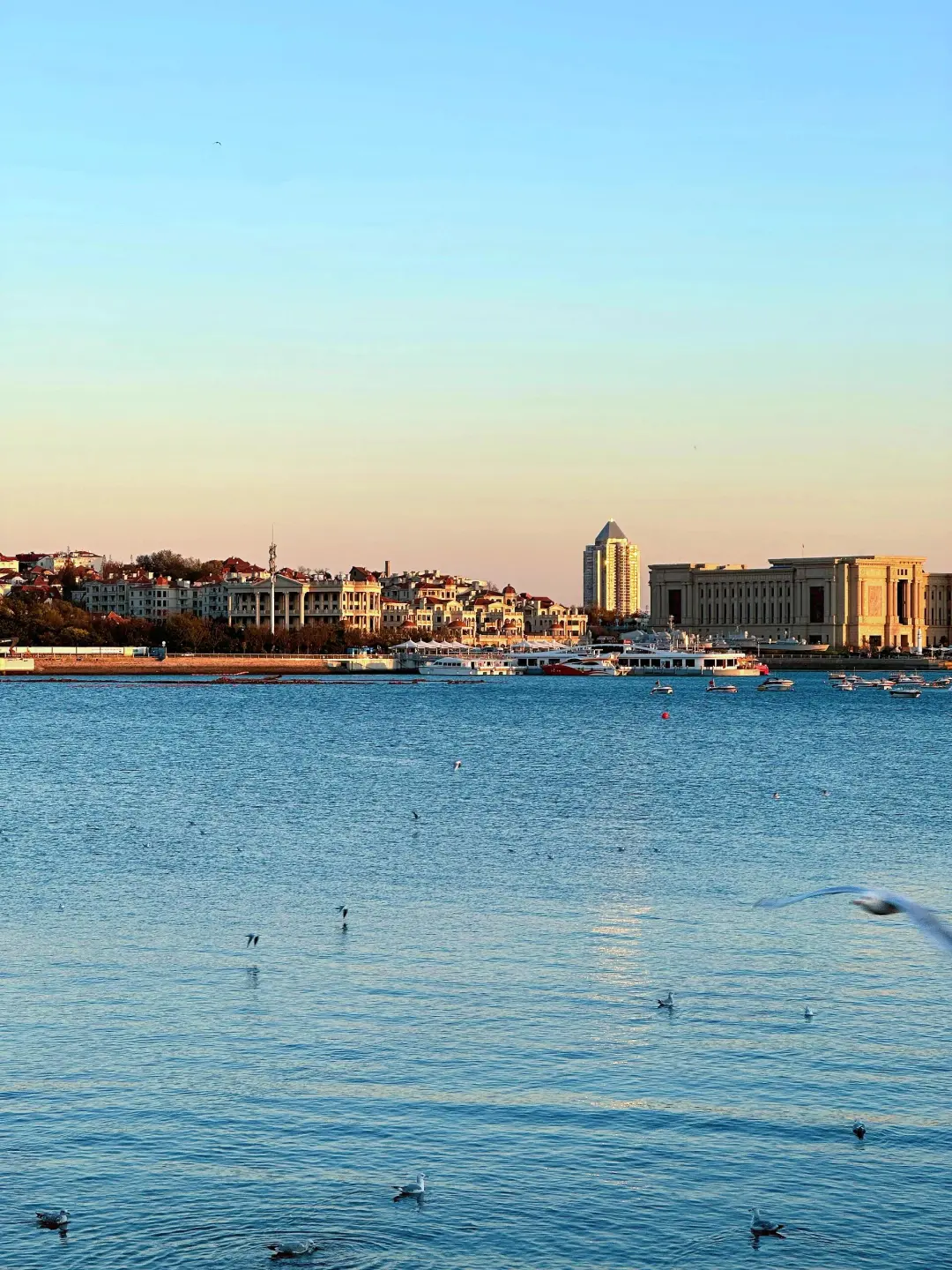 青岛🏖️||三日保姆级旅游攻略❗️