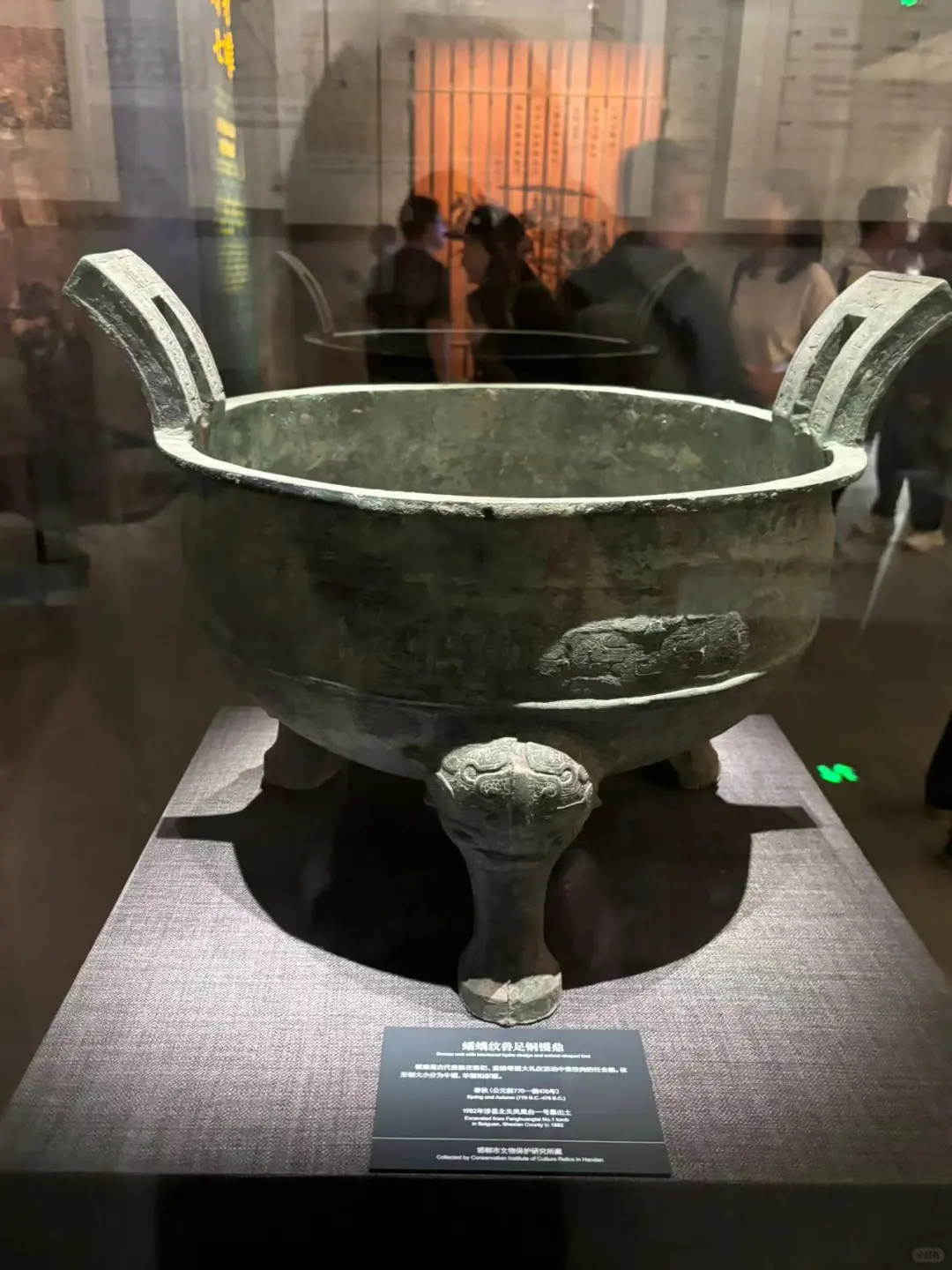 二毛带我看世界|河北邯郸