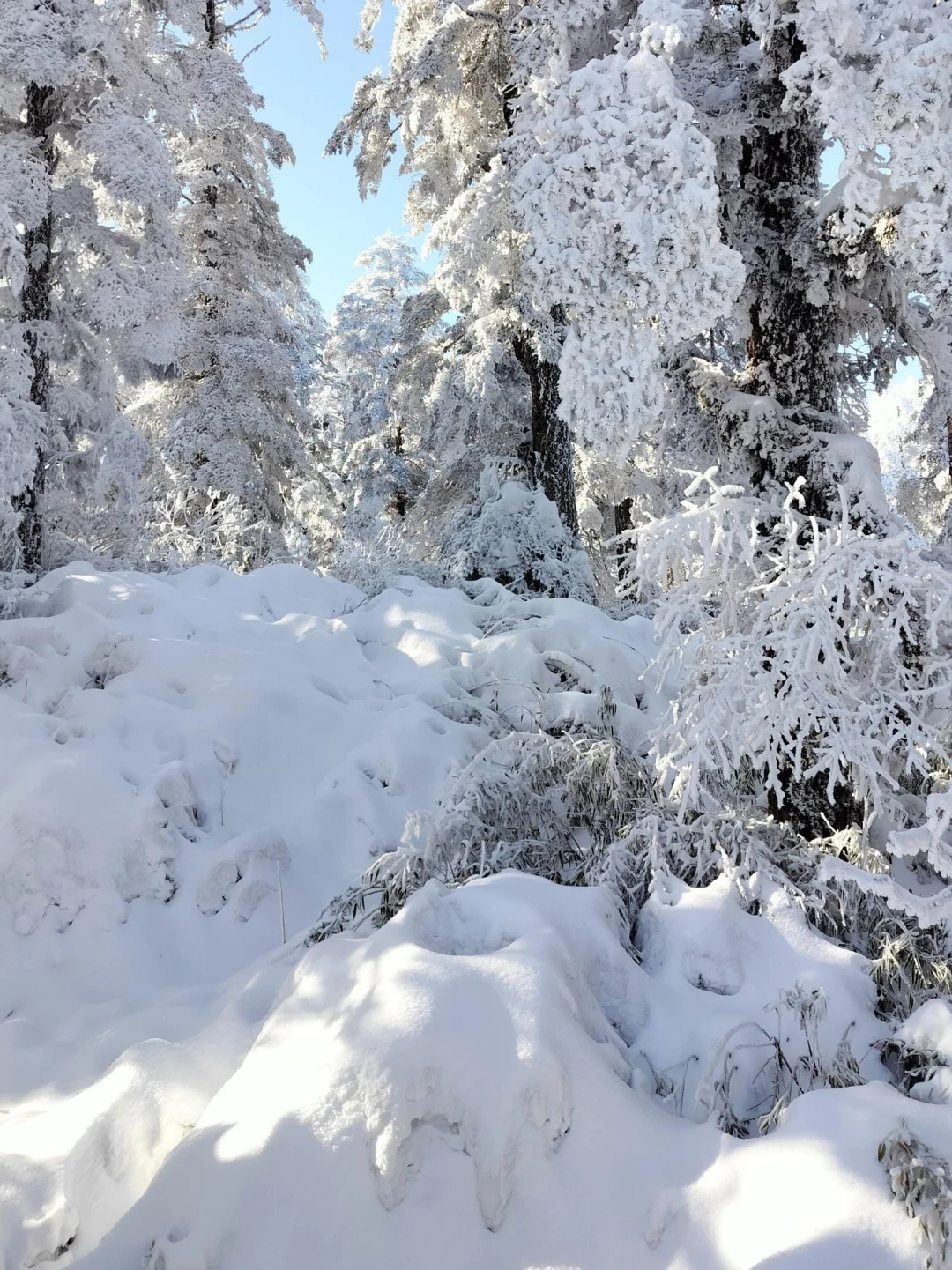 1.14郴州纯受罪已回，四个人都崩溃了😭