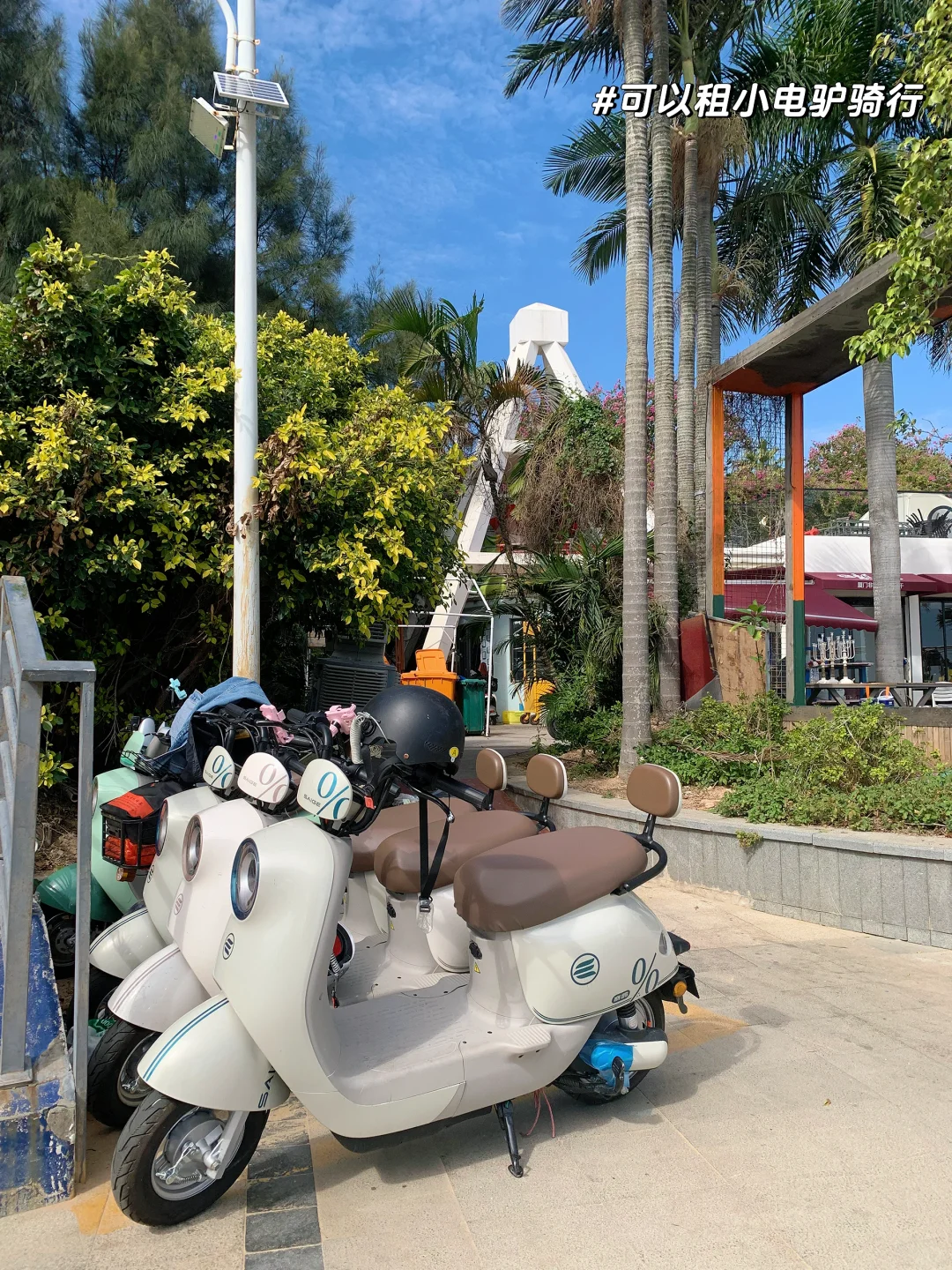 第一次来厦门的姐妹，本地人教你怎么玩✅