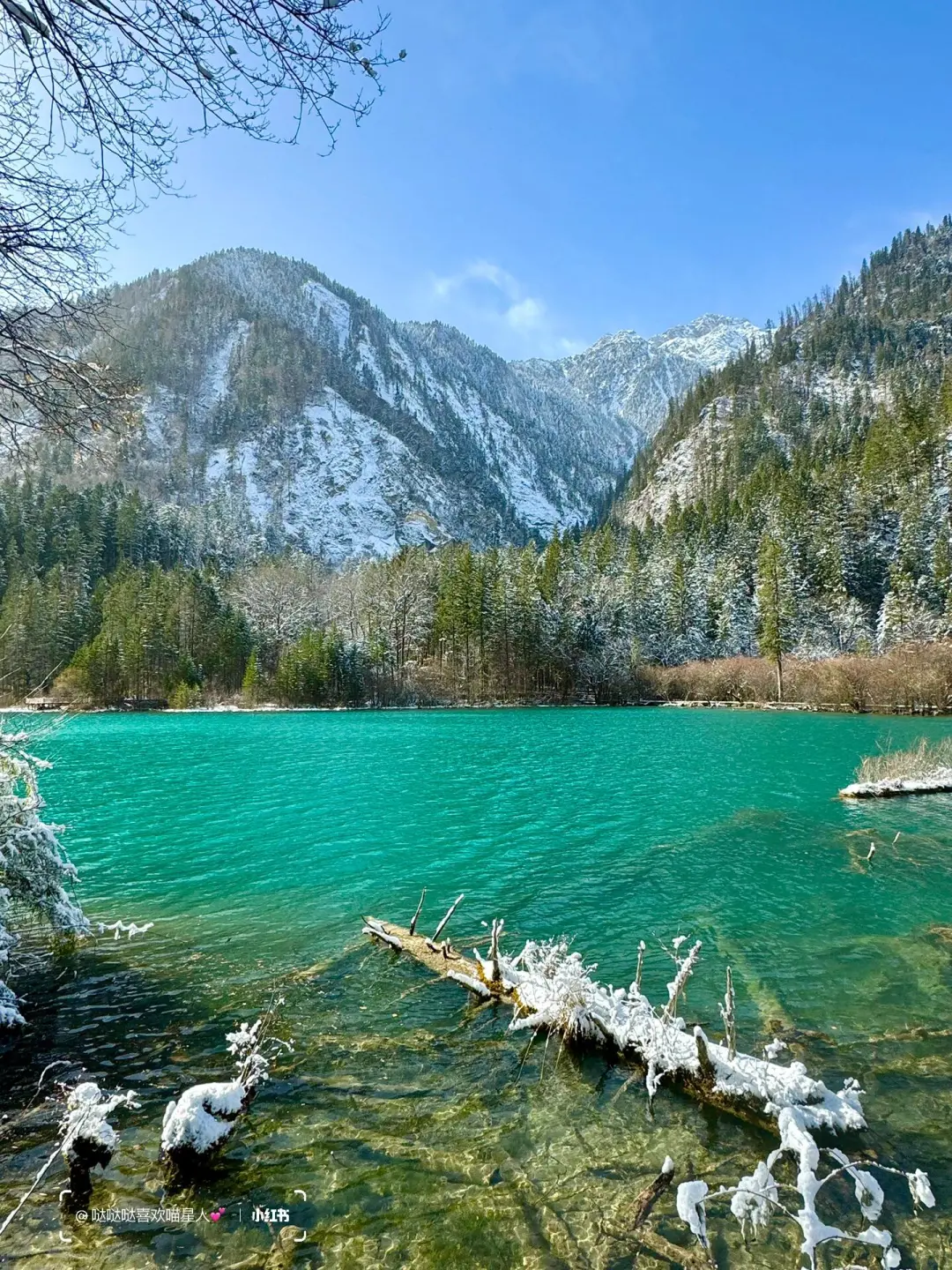 12.28📍九寨沟豪赌成功！简直不要太美了