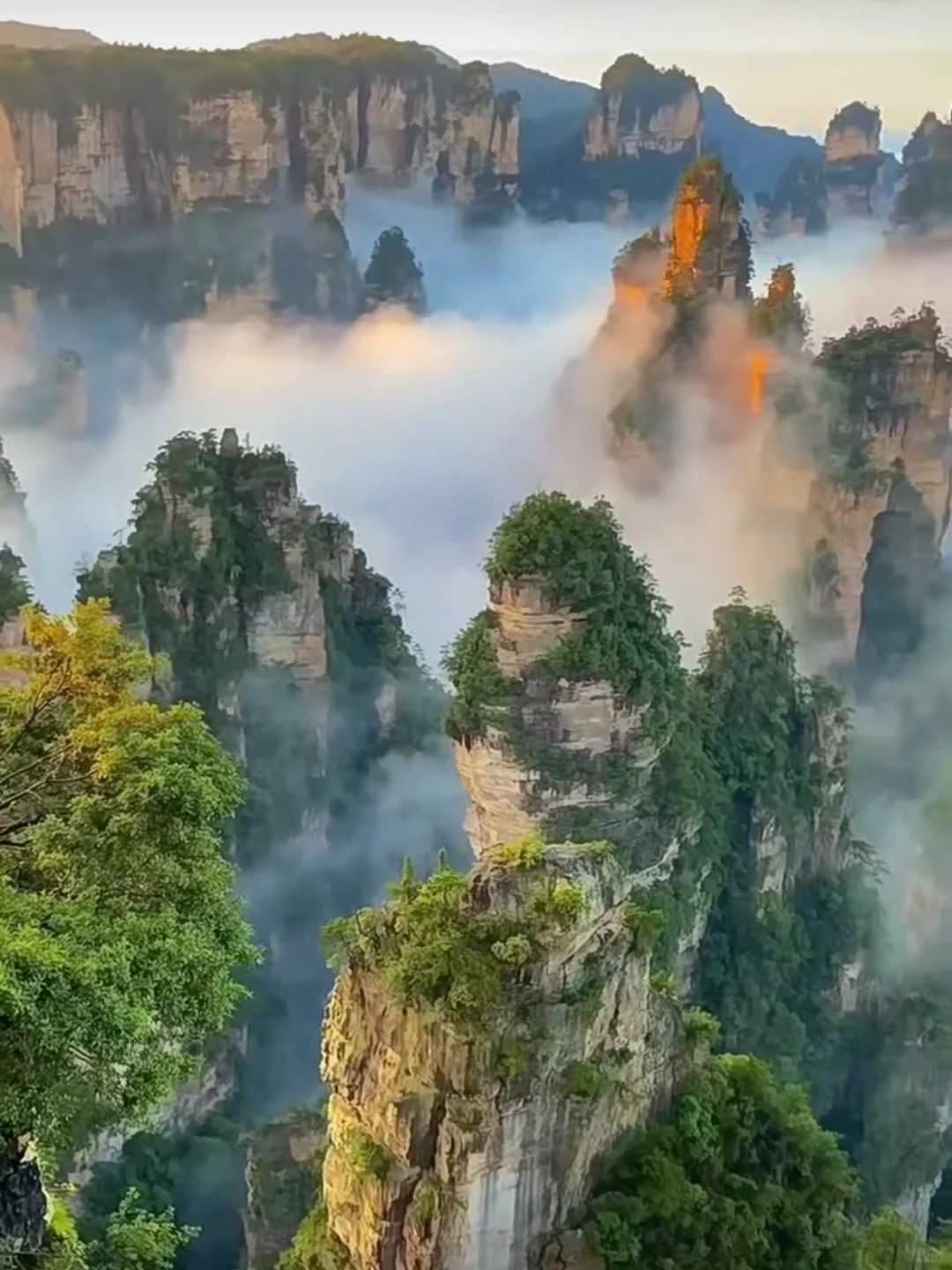 后悔还好可以补救，太值得了，长沙张家界