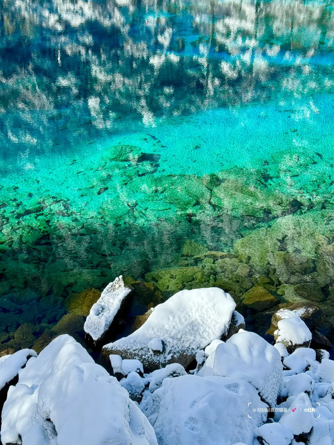 12.28📍九寨沟豪赌成功！简直不要太美了