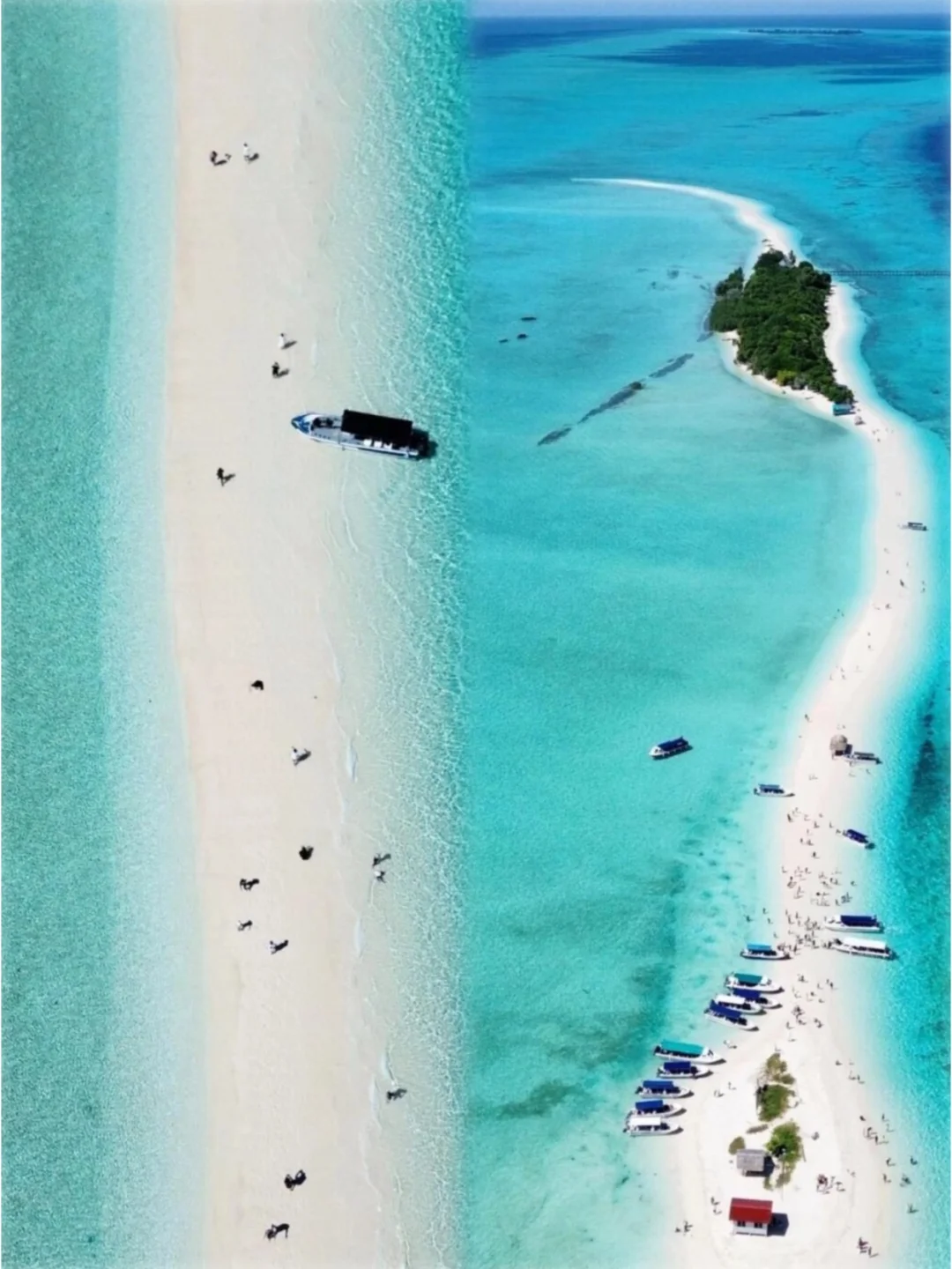 愿每个去马来西亚的姐妹，都能刷到这篇